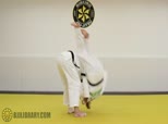 Travis Stevens Judo 10 - Seoi Nage